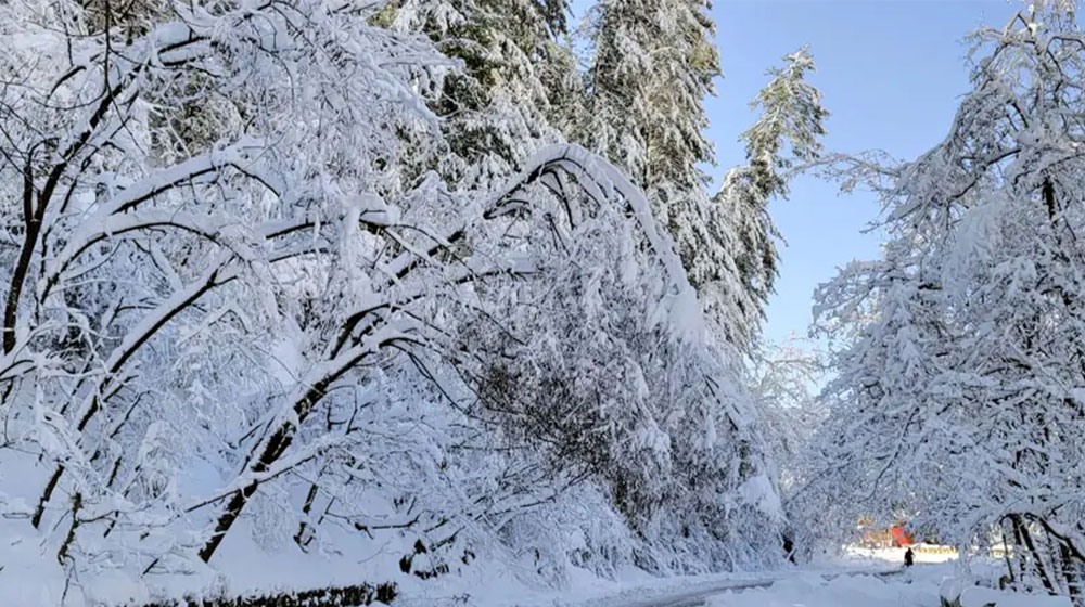 পাকিস্তানে ভারী তুষারপাত, ভূমিধসের সতর্কতা