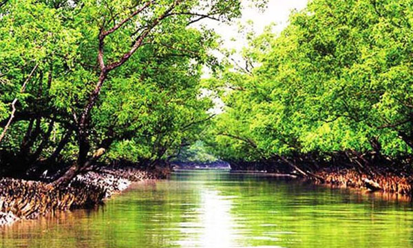 জ্বালানি সংকটে ধাক্কা সুন্দরবন পর্যটনে