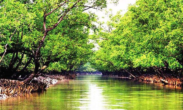 তেল সংকটে স্থবির সুন্দরবনের পর্যটন