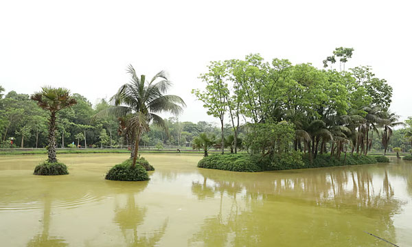 ঢাকার কাছে সবুজে ঘেরা জিন্দা পার্ক