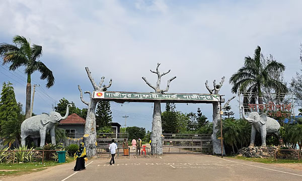 শ্রীপুর সাফারি পার্কে অব্যবস্থাপনা, কমছে দর্শনার্থী, বাড়ছে ক্ষোভ