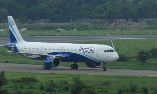 দিল্লি থেকে ঢাকায় আসা ফ্লাইট থামাল দুই শেয়াল