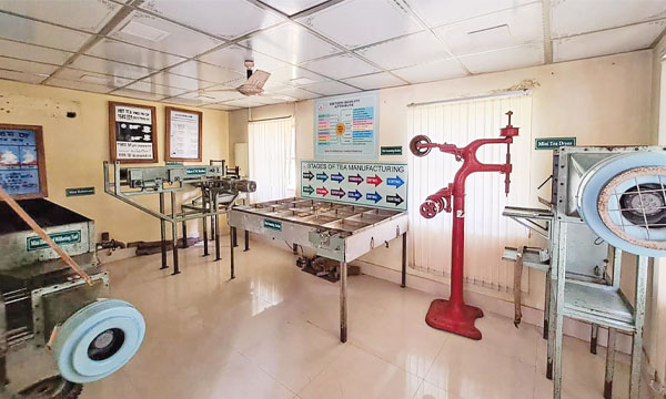 চা-শিল্পের অজানা ইতিহাস জানতে ঘুরে আসুন চা জাদুঘর
