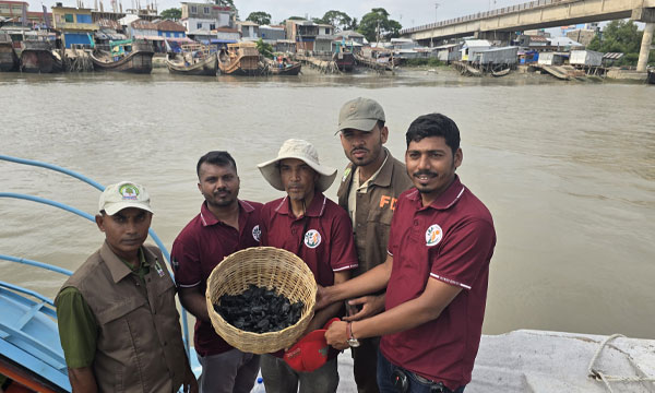 ১৬৩টি কচ্ছপের বাচ্চা মিললো কুয়াকাটা সৈকতে, নিরাপদে অবমুক্ত