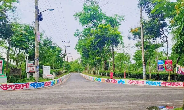 পর্যটকদের নতুন আকর্ষণ শ্রীমঙ্গলের রঙিন সড়ক