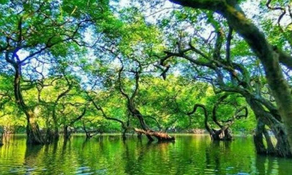 বিদেশি পর্যটক আকর্ষণে কোথায় পিছিয়ে বাংলাদেশ