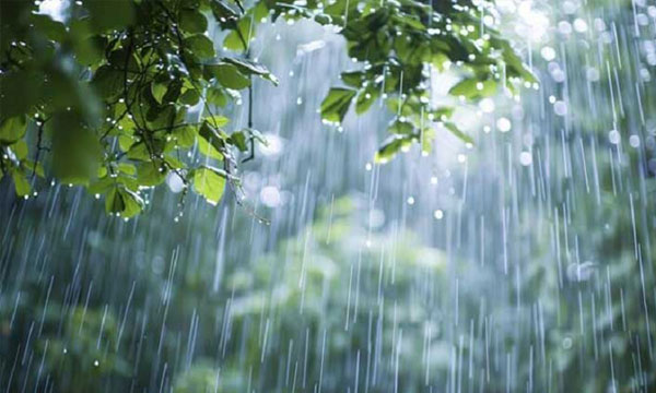 ঢাকায় বৃষ্টি কমতে পারে কাল থেকে, ভ্রমণে সতর্ক থাকার পরামর্শ