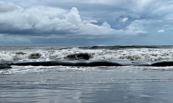 বঙ্গোপসাগরে নিম্নচাপ, কক্সবাজারসহ চার সমুদ্রবন্দরে ৩ নম্বর সংকেত