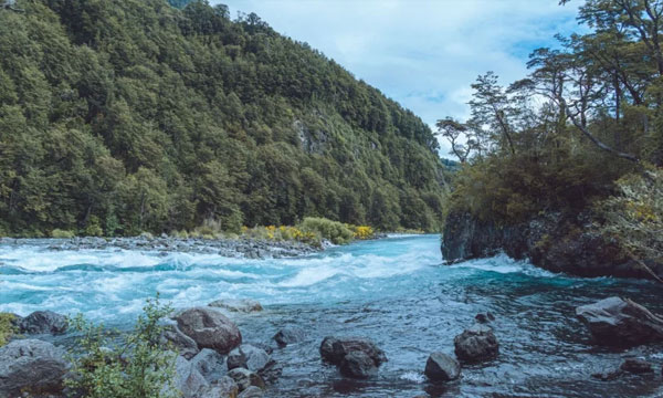 ডেভনের ডার্ট নদীর তীরে বুনো প্রকৃতির মাঝে রাত কাটানোর সুযোগ