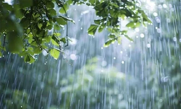 দেশের বিভিন্ন অঞ্চলে বৃষ্টির পূর্বাভাস, ভারী বর্ষণ হতে পারে তিন বিভাগে