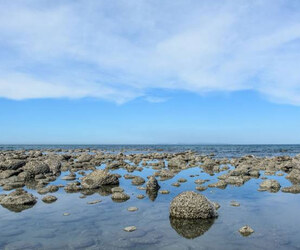 পর্যটন বন্ধে থমকে গেছে সেন্ট মার্টিনের অর্থনীতি