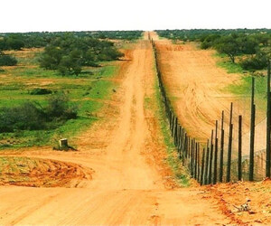 ‘ডগ ফেন্স’: পৃথিবীর সবচেয়ে দীর্ঘ বেড়া 