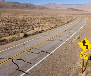 ২০২৫ সালে যুক্তরাষ্ট্রে পর্যটক কমেছে ৬ শতাংশ