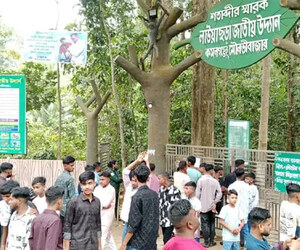তিন দিনে লাউয়াছড়ায় আয় ছাড়াল ৫ লাখ