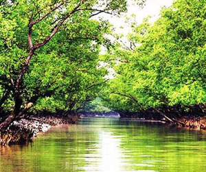 তেল সংকটে স্থবির সুন্দরবনের পর্যটন