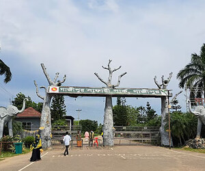 শ্রীপুর সাফারি পার্কে অব্যবস্থাপনা, কমছে দর্শনার্থী, বাড়ছে ক্ষোভ