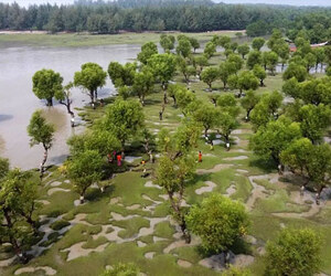কুয়াকাটার বিকল্প গন্তব্য হতে পারে নিদ্রার চর