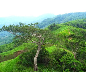 মেঘ-জঙ্গল আর রোমাঞ্চের ঠিকানা কির্সতং পাহাড়