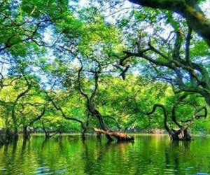 বিদেশি পর্যটক আকর্ষণে কোথায় পিছিয়ে বাংলাদেশ