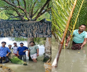 কাশিয়াবাদ হতে পারে দেশের নতুন ইকো-পর্যটন কেন্দ্র