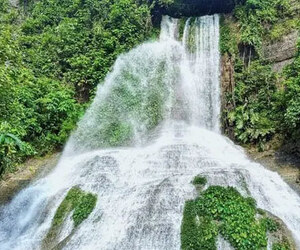 চার ঝরনার দেখা মিলবে মিরসরাইয়ের নাপিত্তাছড়া ট্রেইলে
