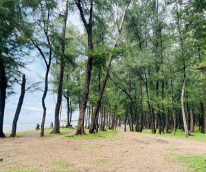 সাগর দেখতে গিয়ে শৈবাল সৈকতে কেন থামবেন